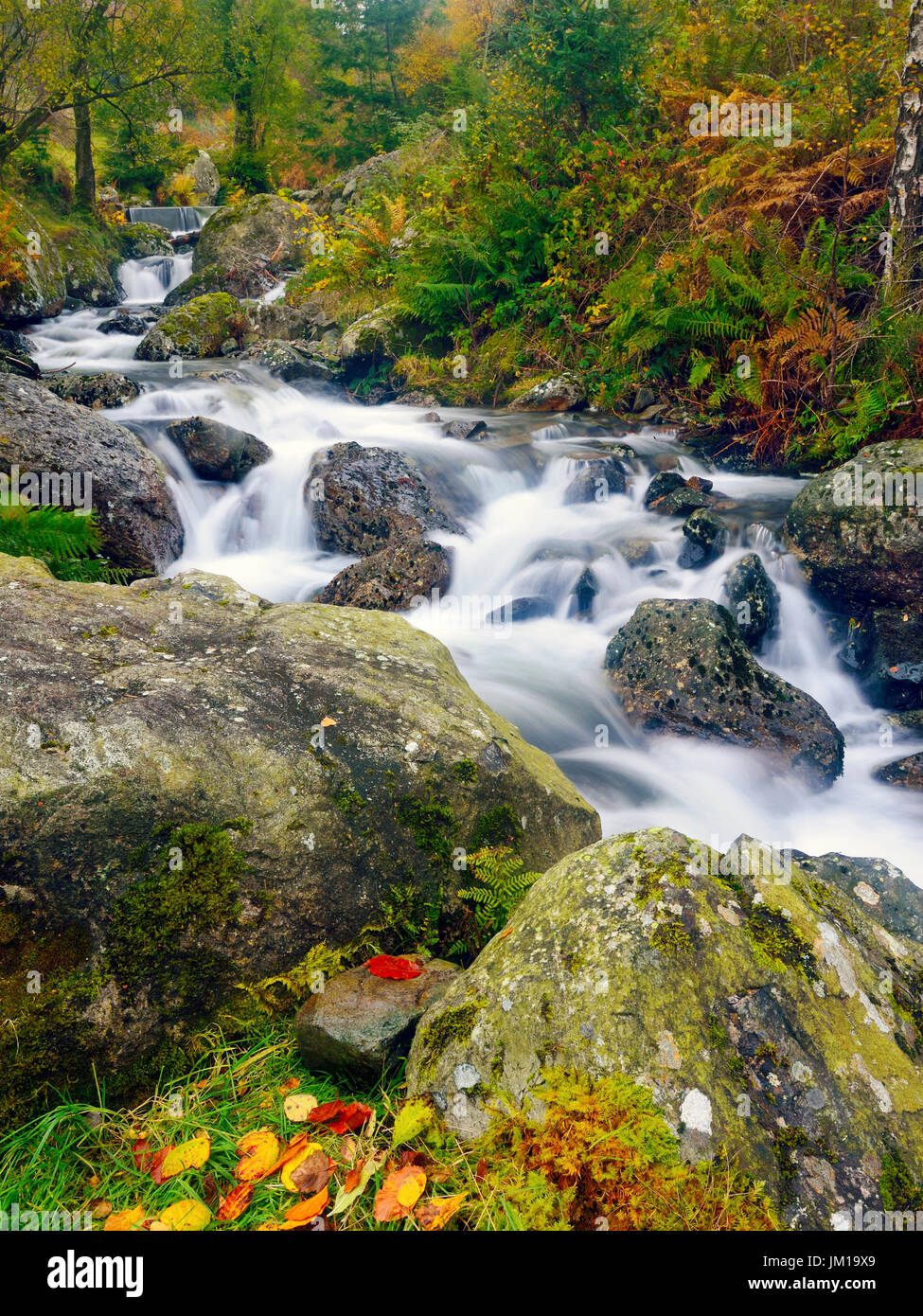 An autumn view of Fisher Gill as it flows towards Thirlmere in the Lake District, UK Stock Photo