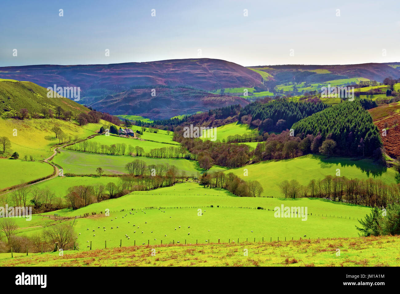 A view from Llantysilio of the Clwydian hills and mountains, North Wales, UK Stock Photo