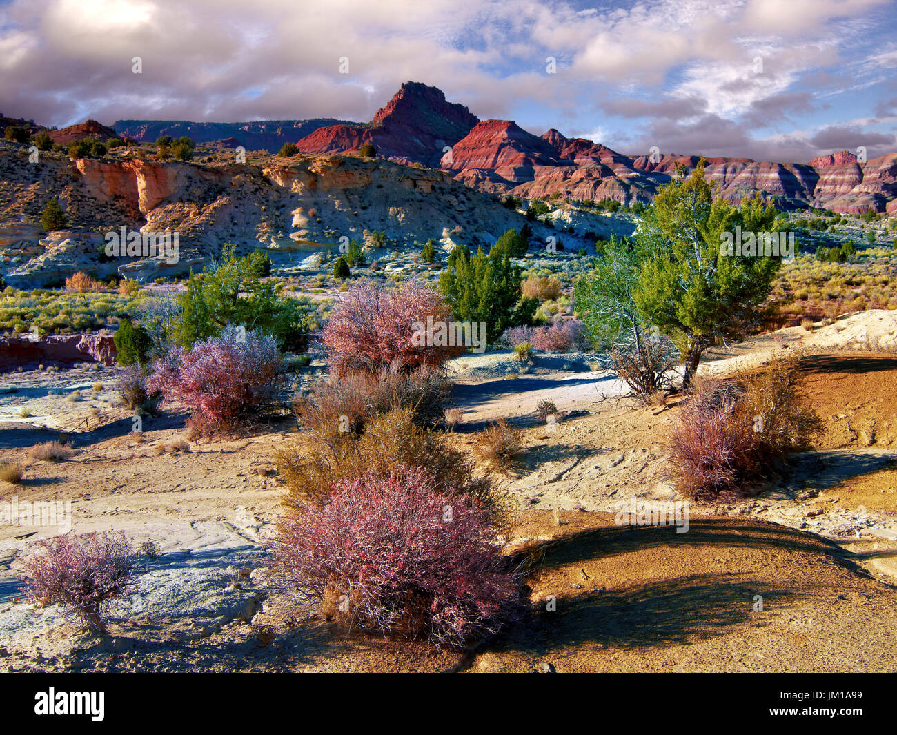 An evening view of the Paria Canyon-Vermilion Cliffs National Park, Arizona, USA Stock Photo