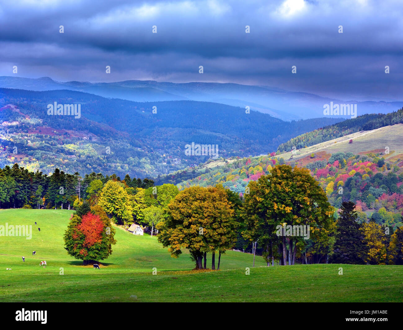 An autumn view of the Ballons des Vosges nature park in Alsace, France Stock Photo
