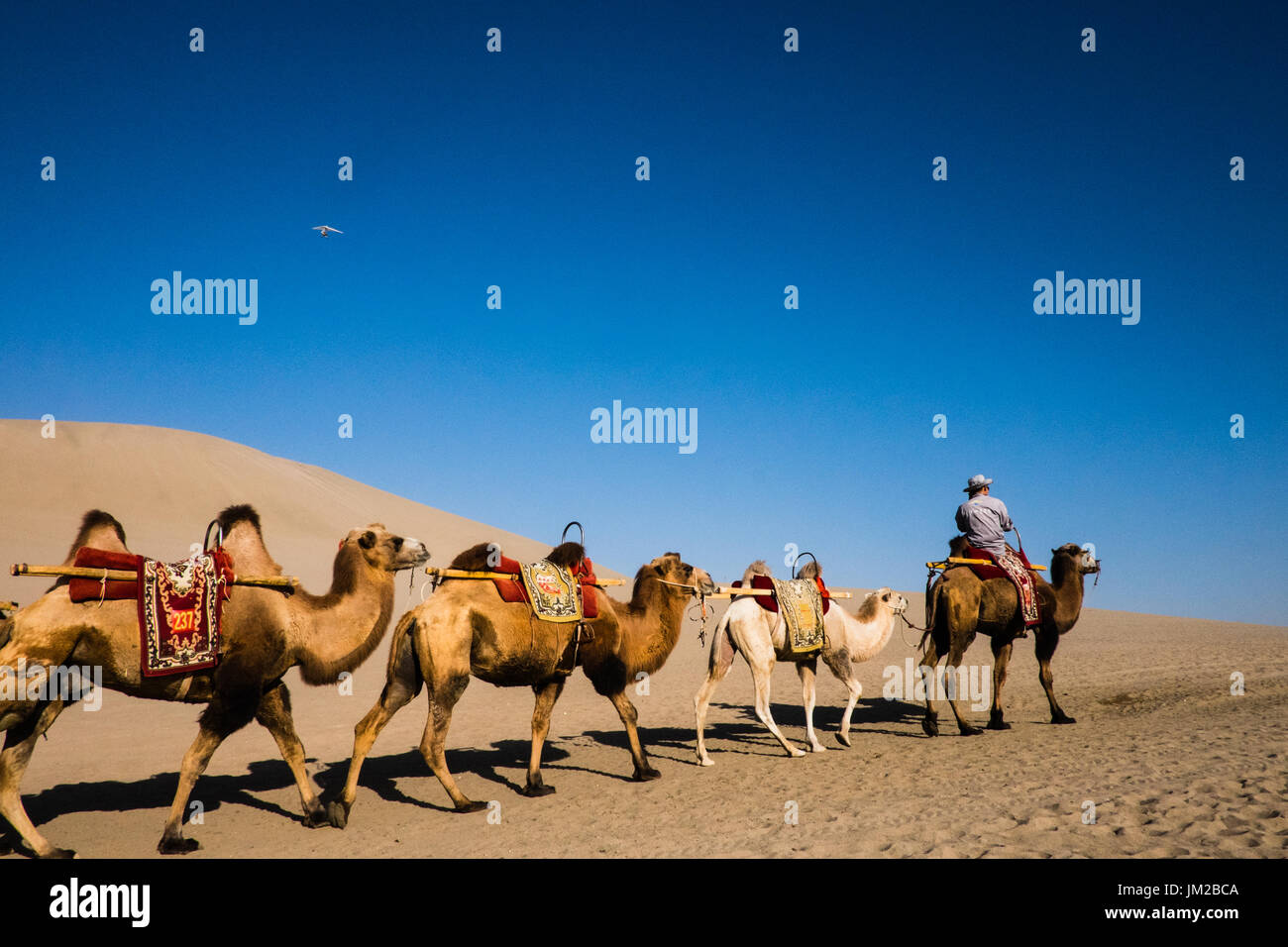 Gobi desert, Dunhuang, China Stock Photo