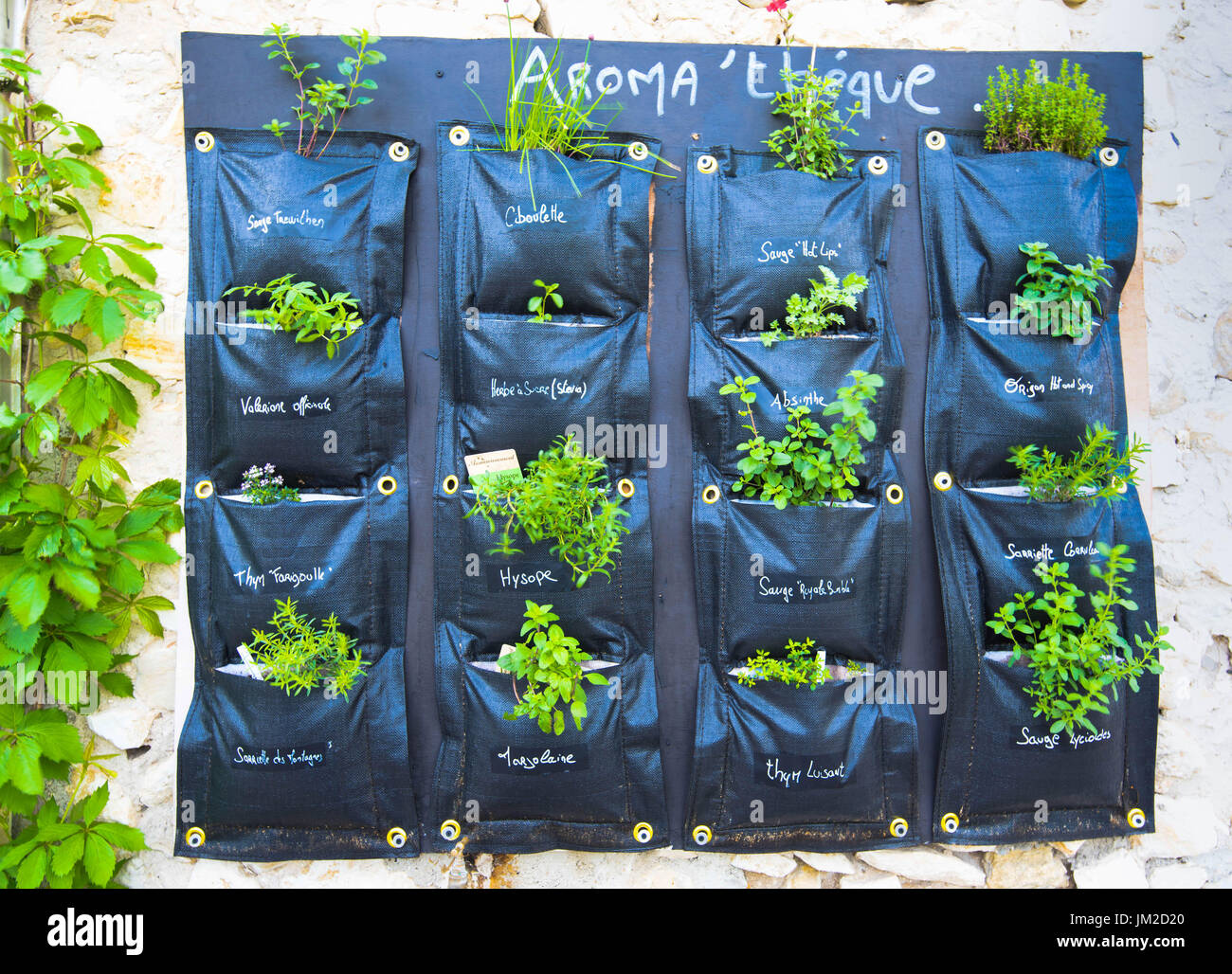 Fresh herbs shown outside a restaurant in Provence Stock Photo Alamy