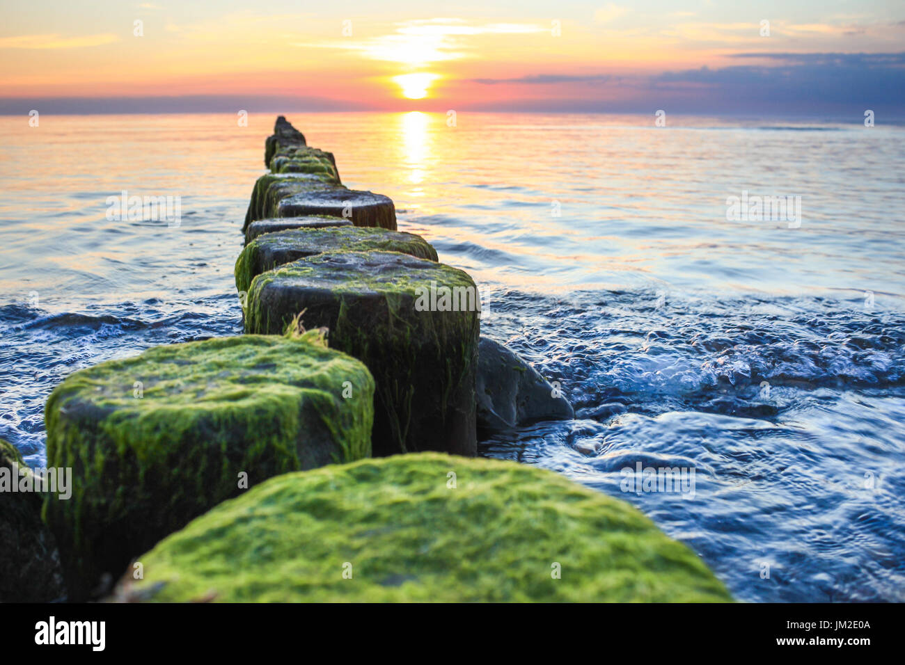 Wooden spur dykes in coastal sunset. Groynes and sea water. Stock Photo