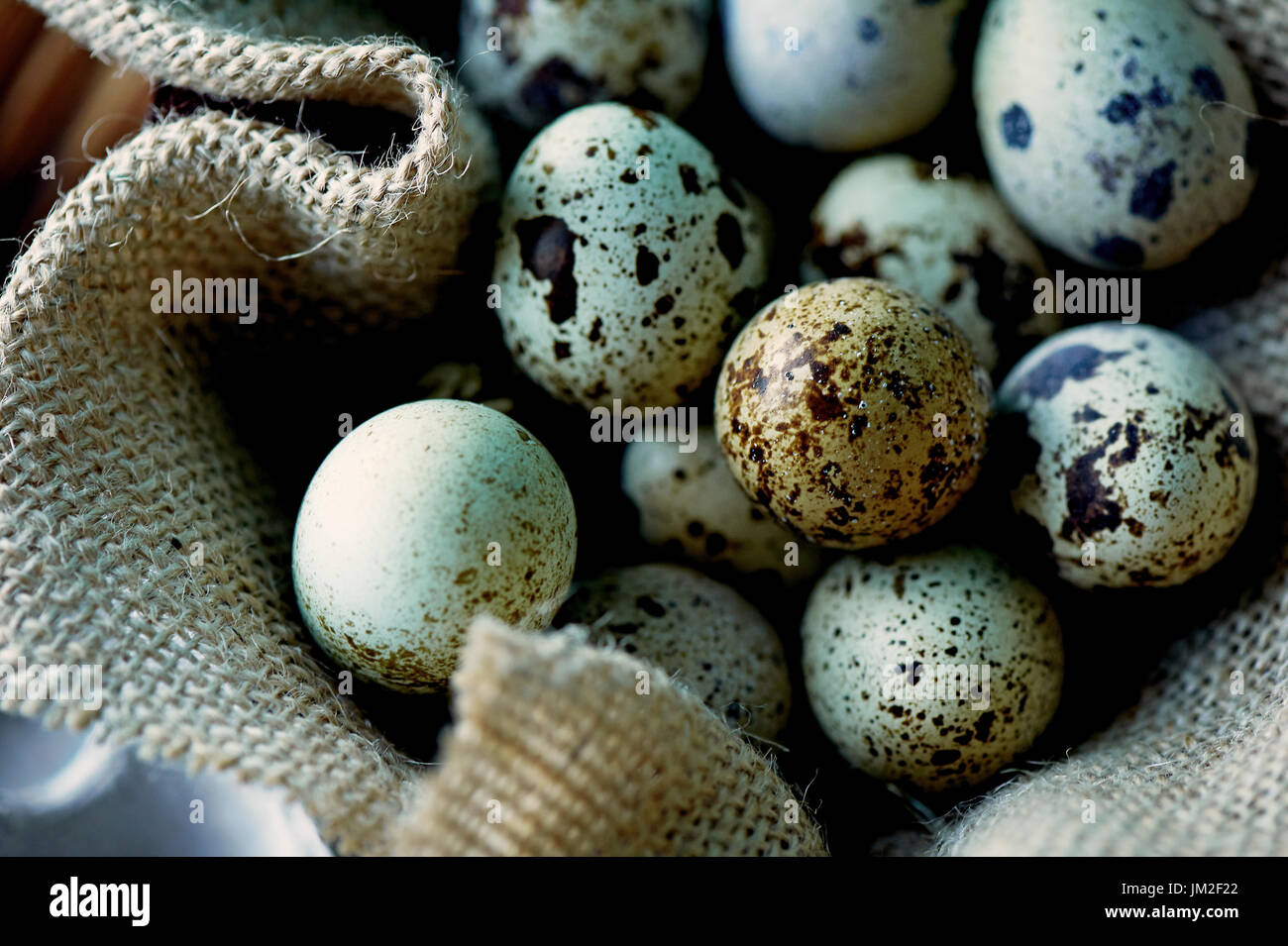 Quail eggs, photographed in a simple rustic style. Simple proteinrich