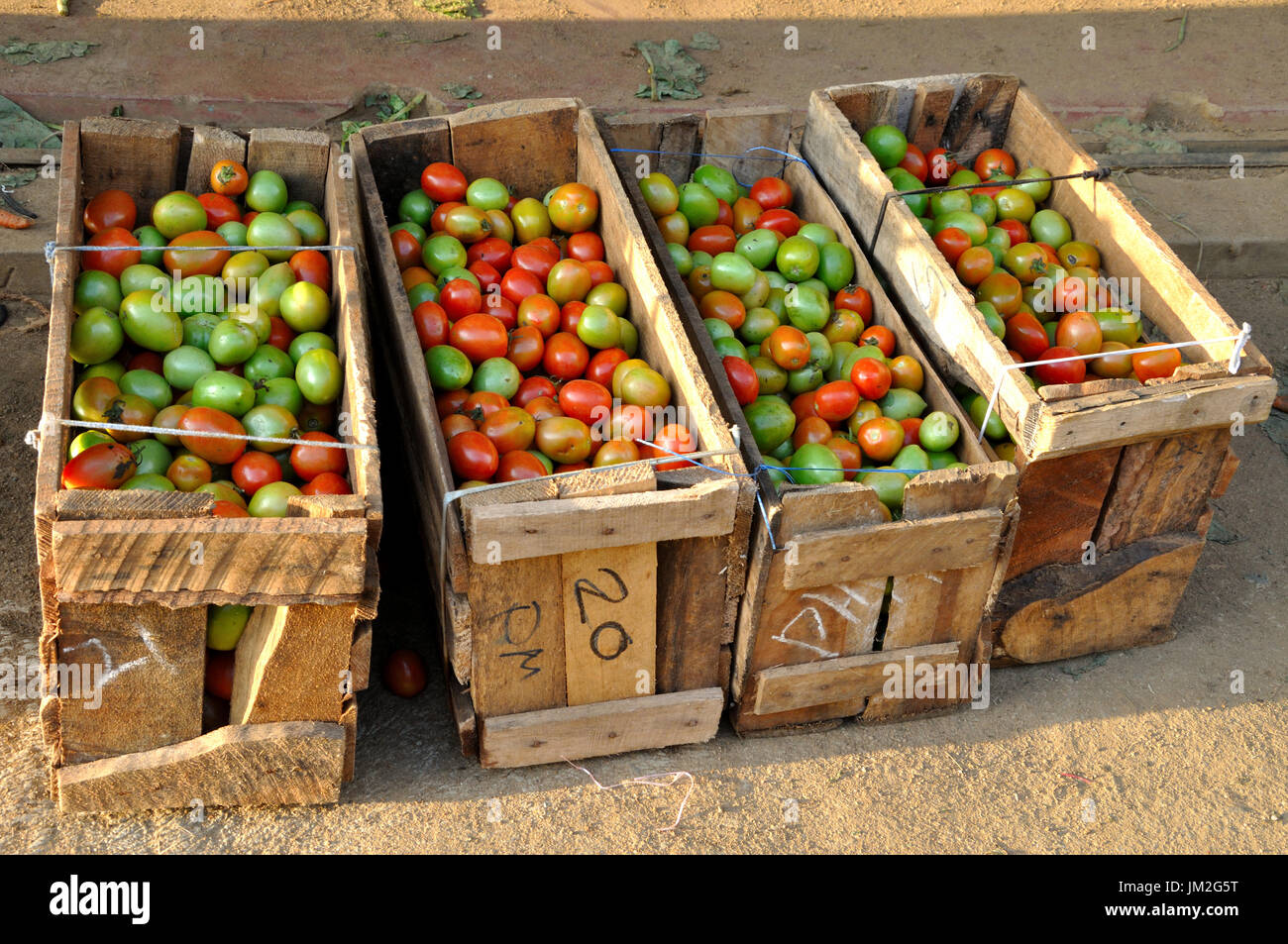Boxes of tomatoes awaiting shipment, Haputale, Sri Lanka Stock Photo