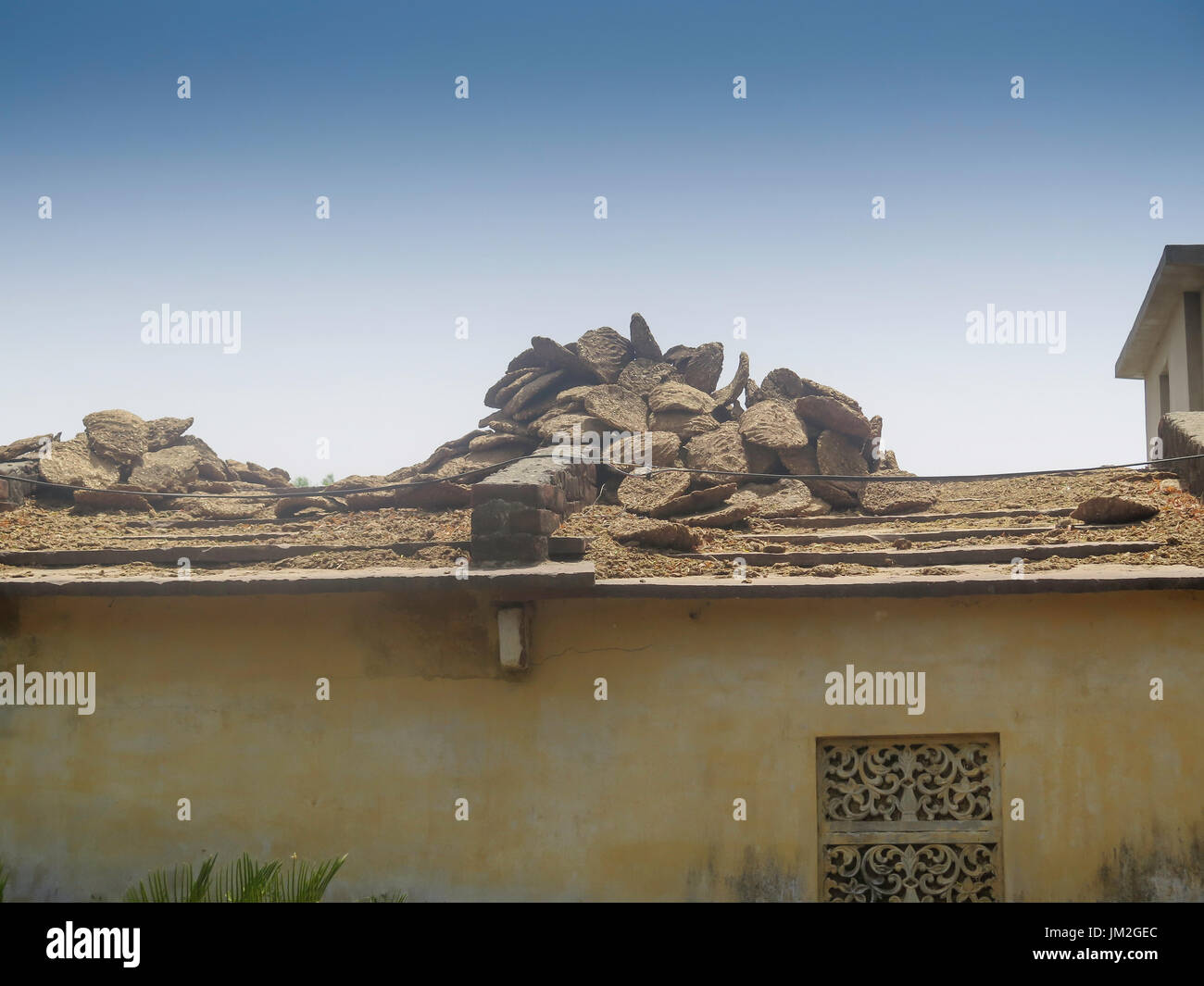 Elephant Dung India High Resolution Stock Photography and Images - Alamy
