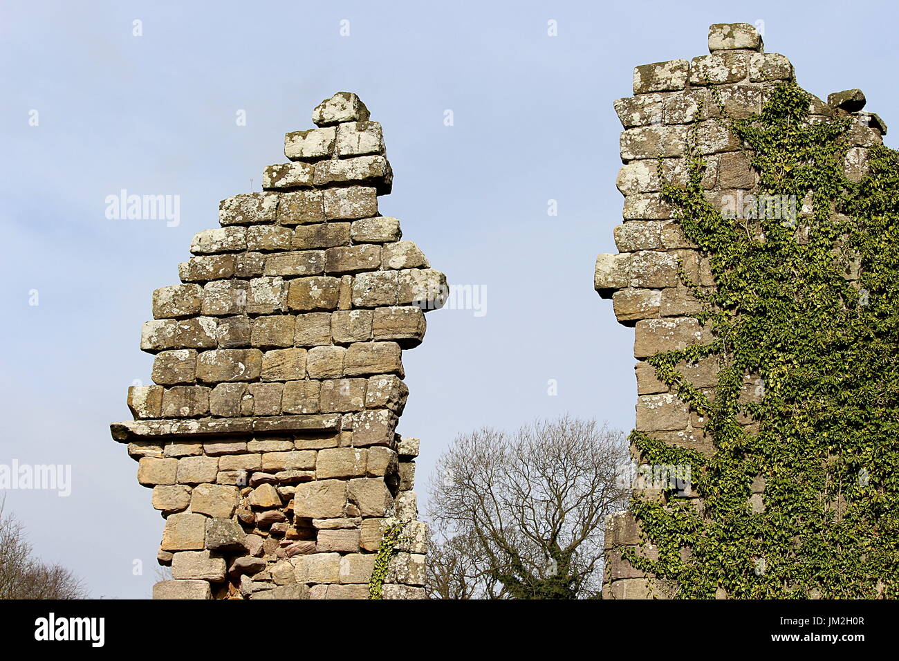 Gravity-defying crumbling stone wall with ivy Stock Photo