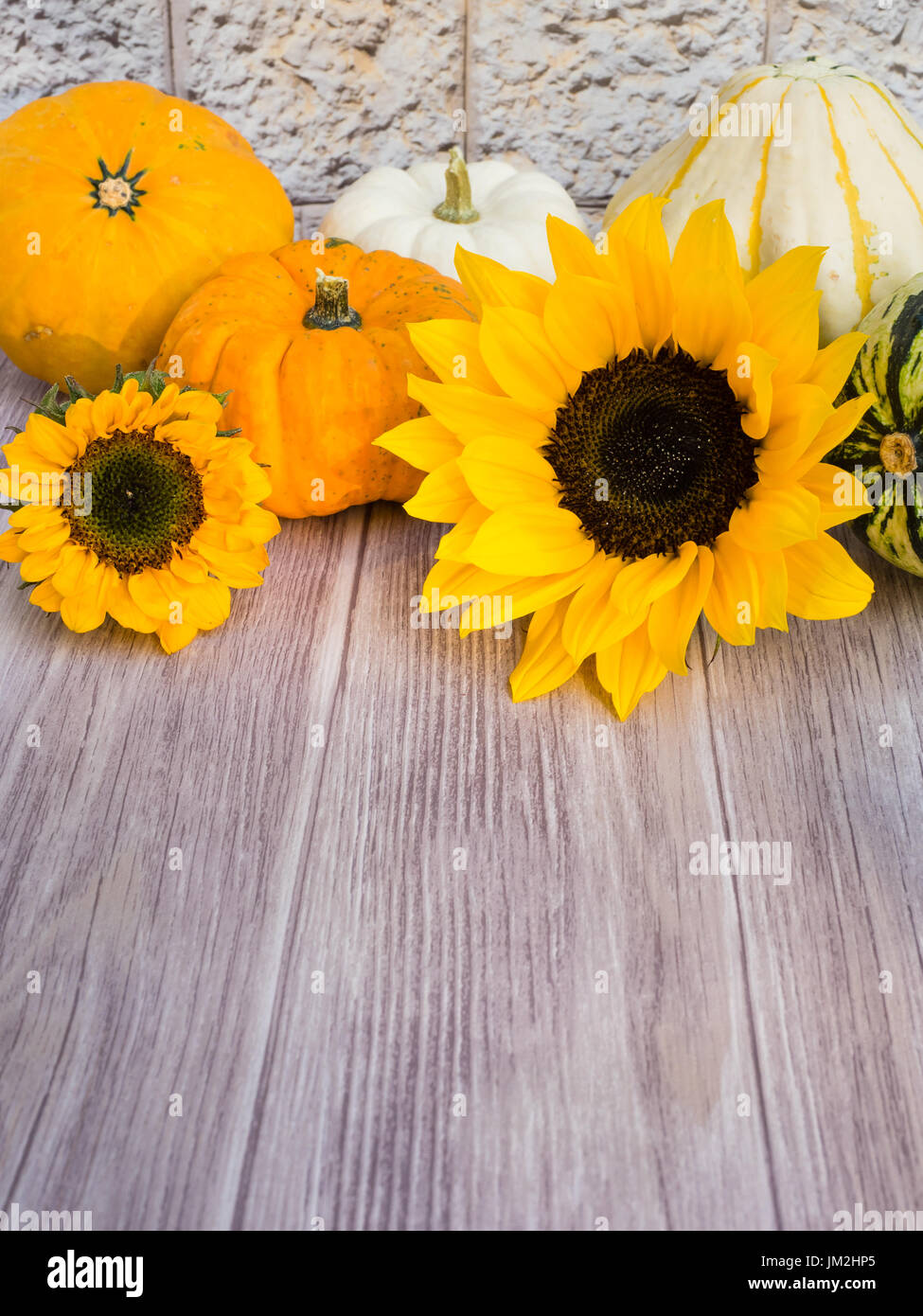 Autumnal background of wood with pumpkins and blooms at the top Stock Photo