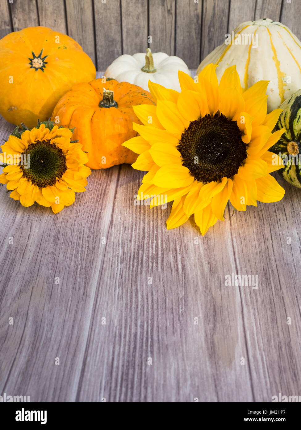 Autumnal background of wood with pumpkins and blooms at the top Stock Photo