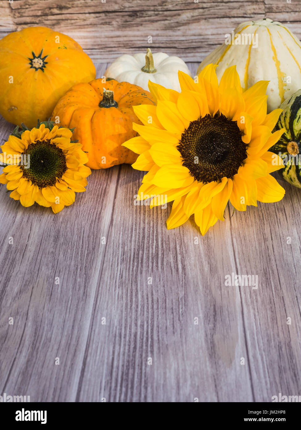 Autumnal background of wood with pumpkins and blooms at the top Stock Photo