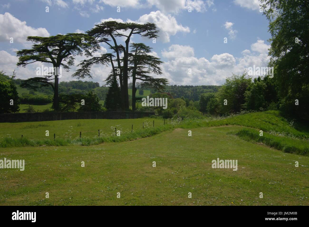 Dorset countryside, England Stock Photo