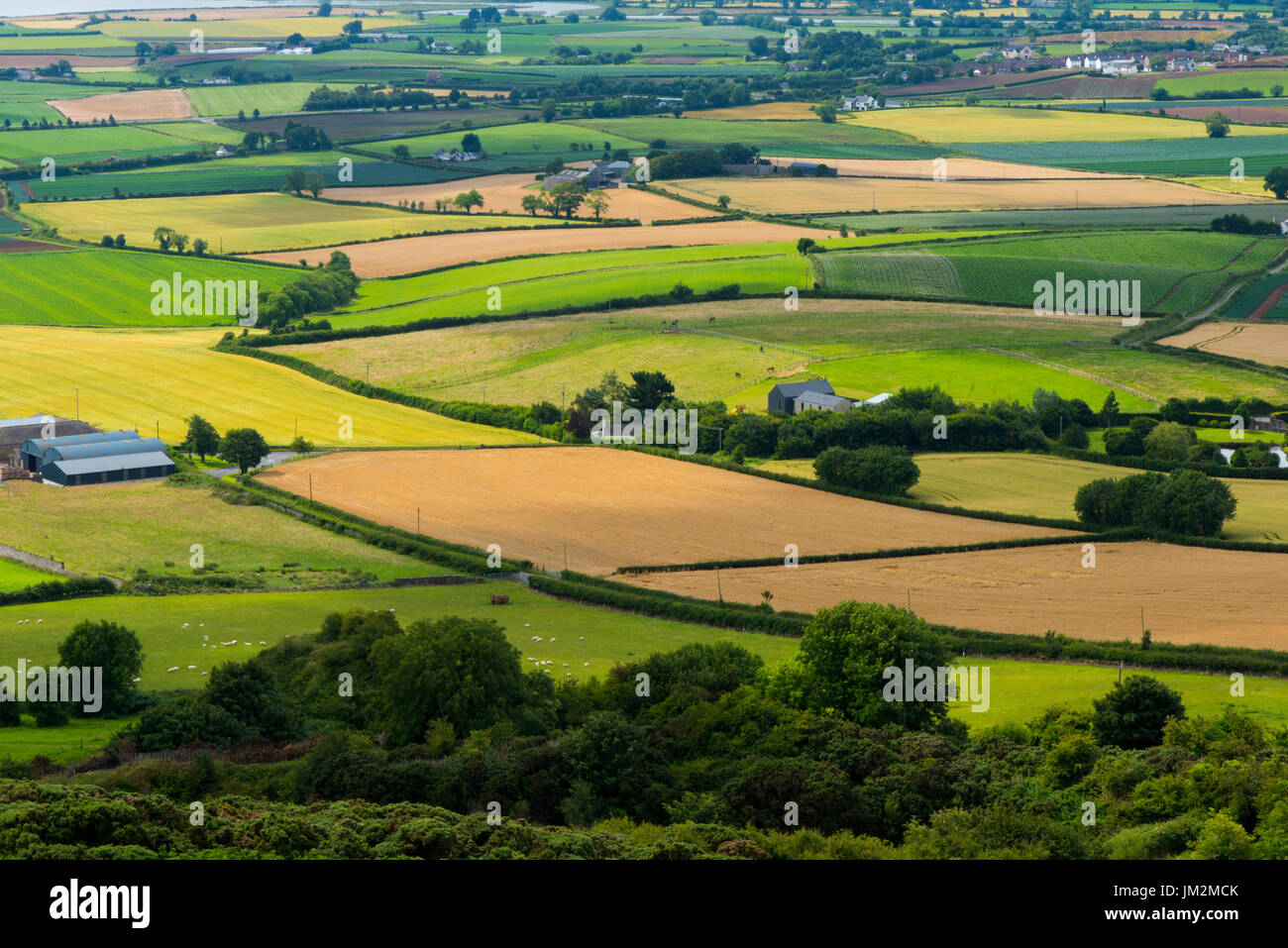 The rolling, green countryside of the Ards Peninsula as views from the top of Scrabo Tower, Newtownards in July 2017 Stock Photo
