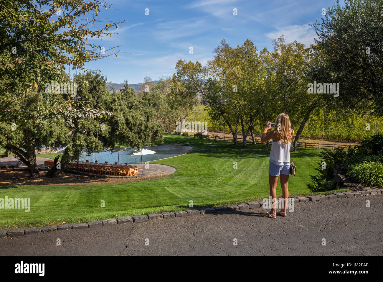 adult woman, tourist, visitor, visiting, landscaped garden, Far Niente Winery, Oakville, Napa Valley, Napa County, California Stock Photo