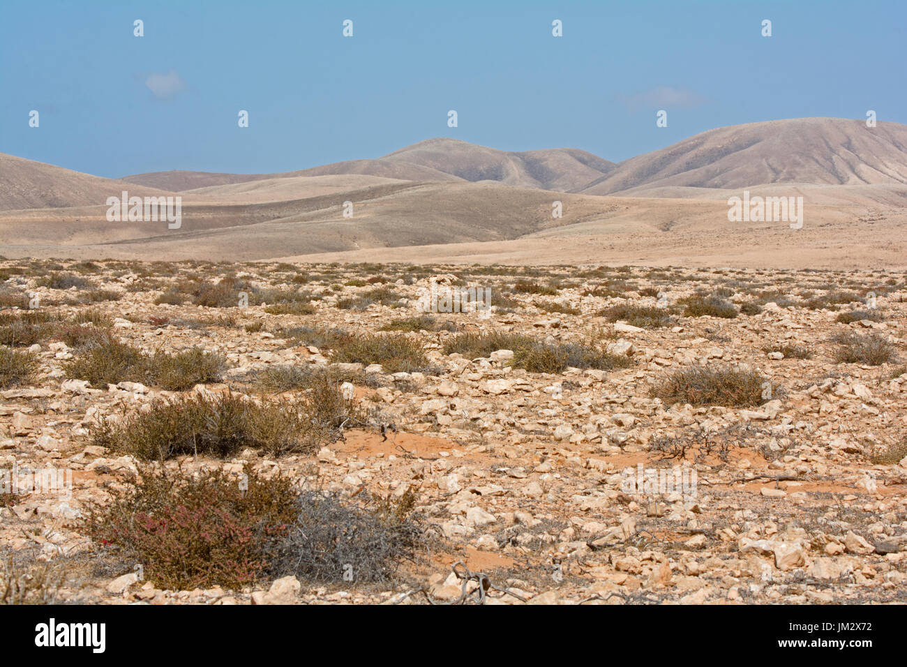 Semi-arid habitat home to Cream-coloured Courser, Berthelot's Pipit and Houbara Bustard, Tindaya Plain Fuerteventura, Canary Islands Stock Photo