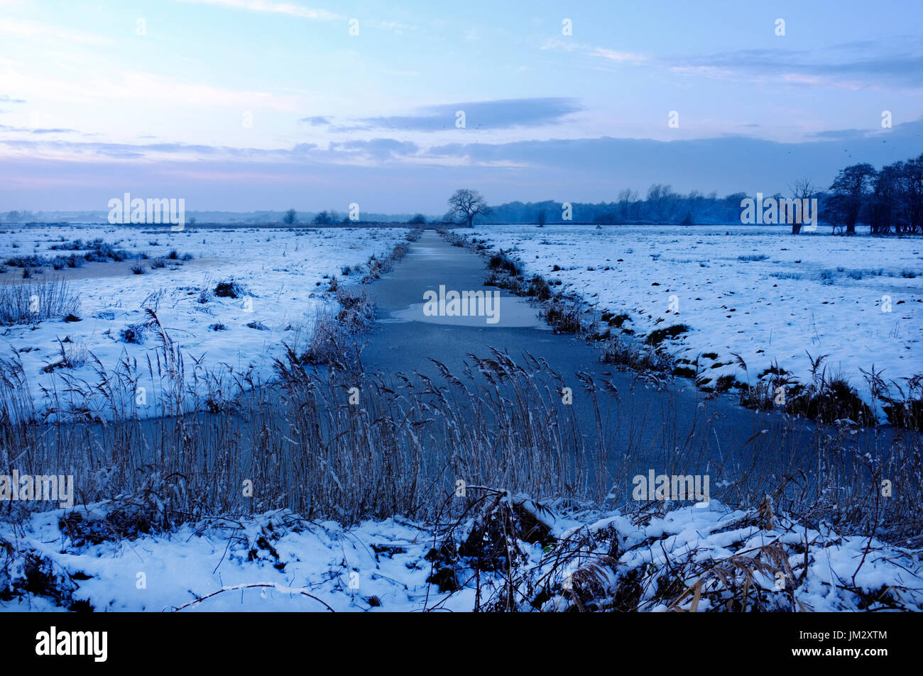 Buckenham Marshes (RSPB Reserve), dyke and grazing marsh with covering of snow in mid winter, Norfolk Stock Photo