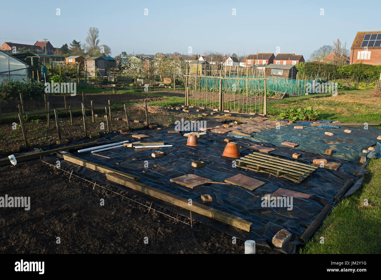 Allotments in Holt North Norfolk Stock Photo