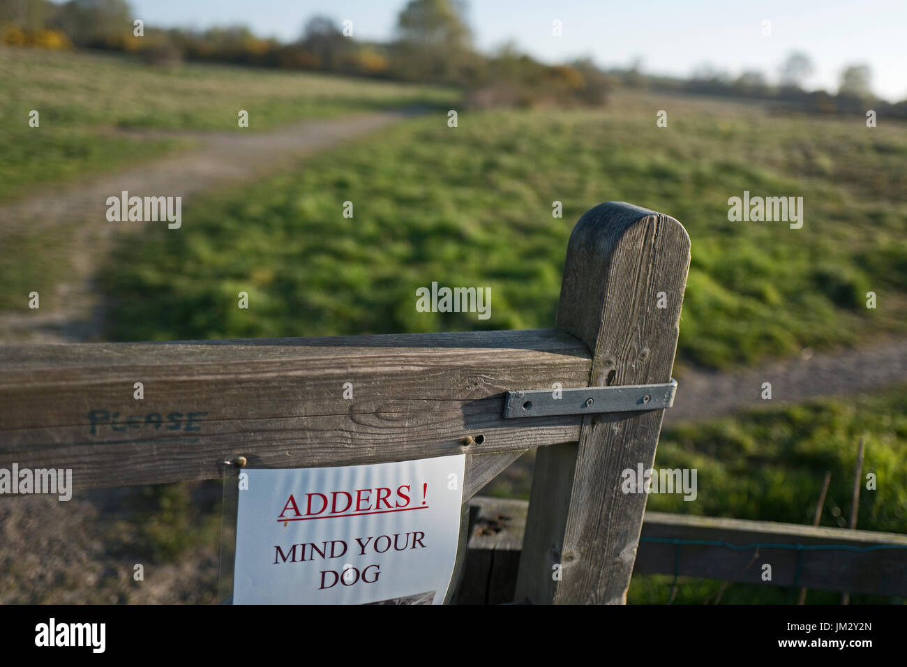 Adder beware sign on heath North Norfolk Stock Photo