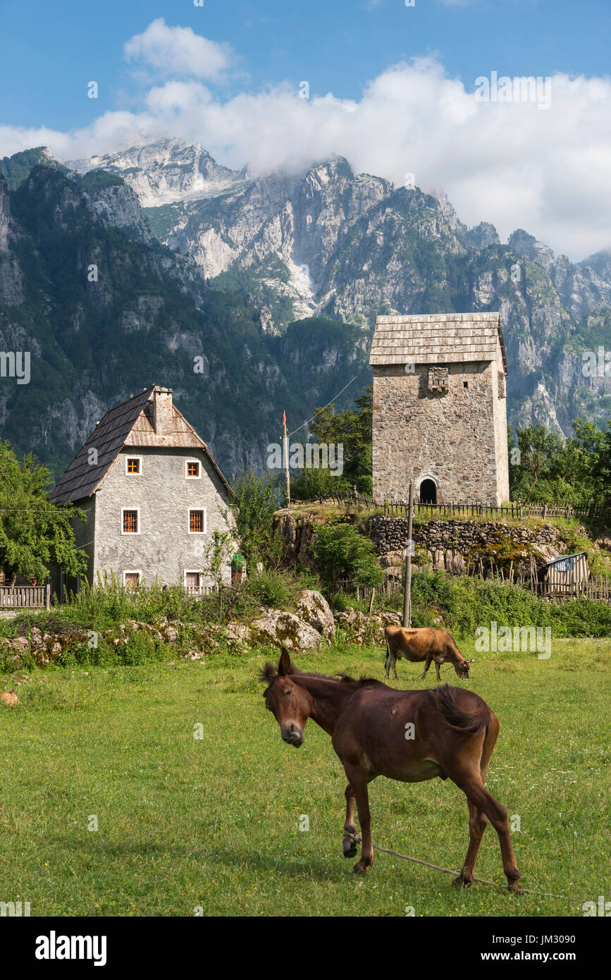 Pasture at Theth with the Kulla, lock-in tower and the Albanian Alps in the background, Northern Albania. Stock Photo