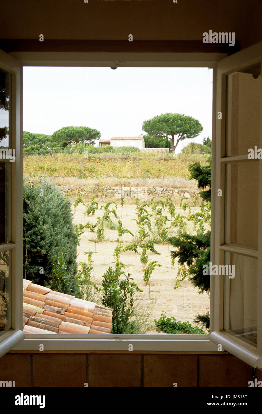 View through open window to vegetable garden Stock Photo