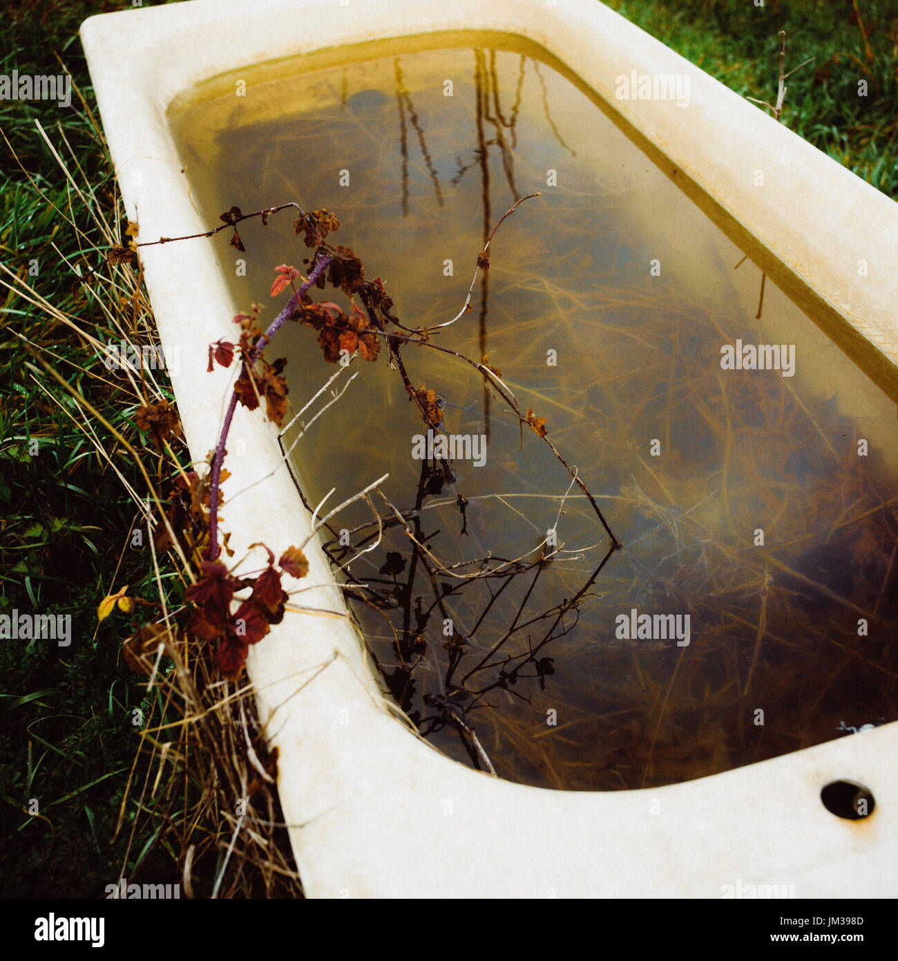 Old bathtub in nature Stock Photo Alamy