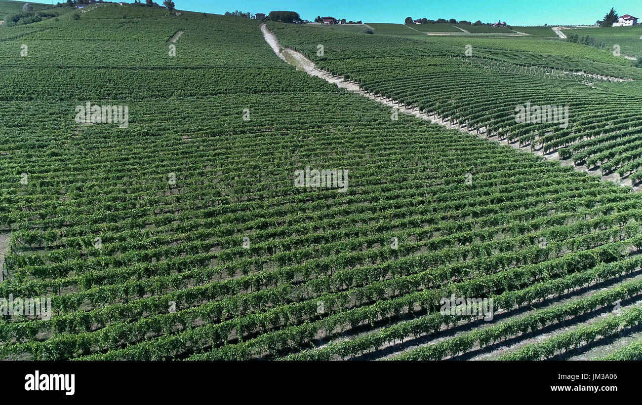 View from a drone of vineyards in the Monferrato territory Unesco World Heritage, Piedmont,Italy Stock Photo
