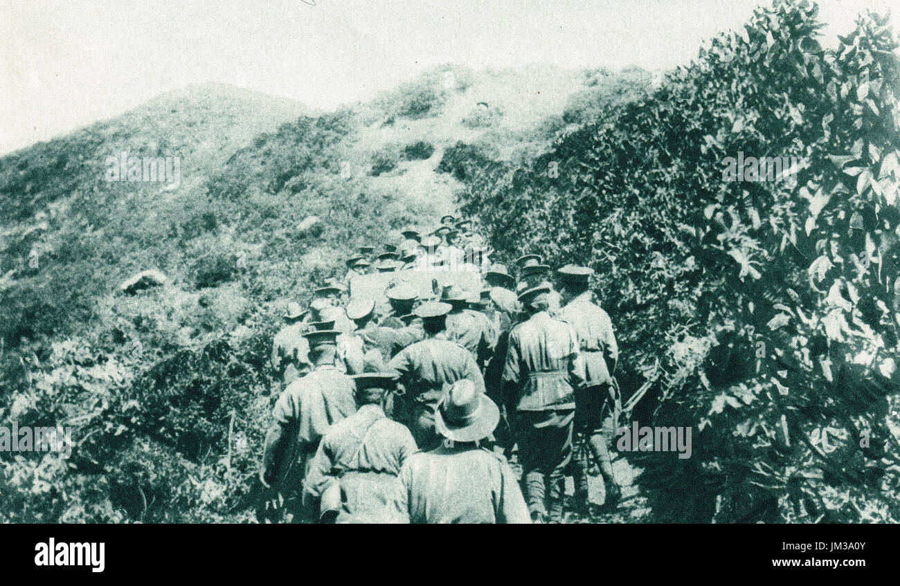 Australian soldiers hauling  first gun to be landed at Gallipoli uphill Stock Photo