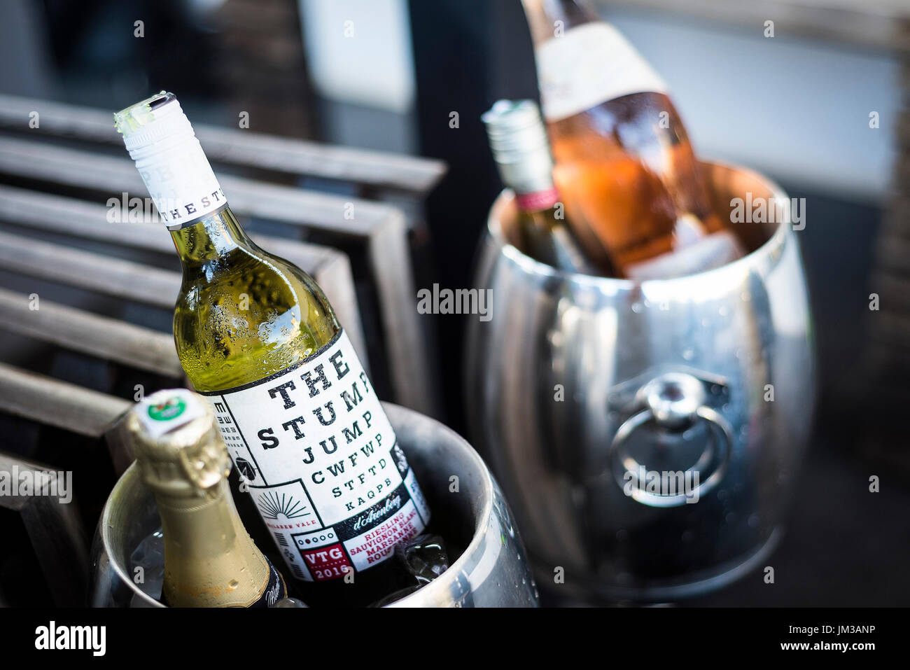 mixed bottles of gourmet wine in ice chiller bucket at bar Stock Photo