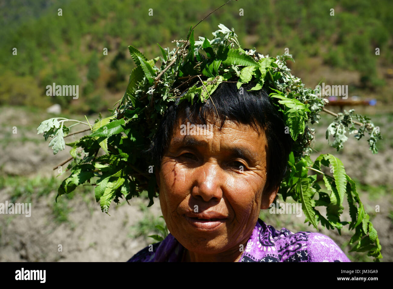 Plants and leaves protect woman's head from sun while weeding beanfield, Punakha valley, Bhutan Stock Photo