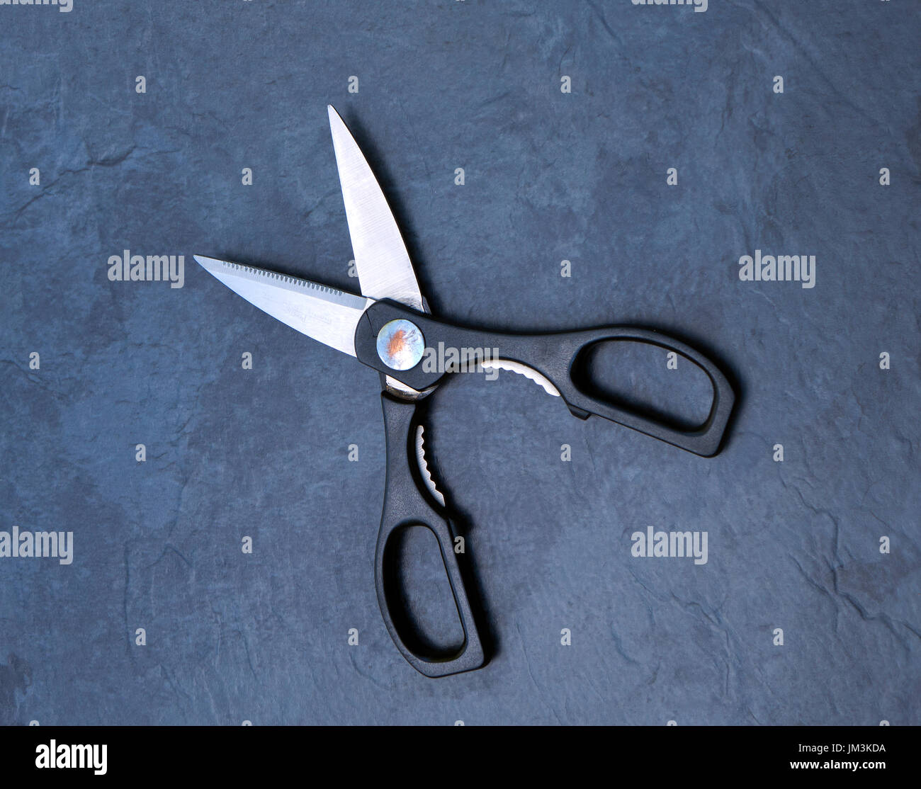 Scissors on a grey background Stock Photo
