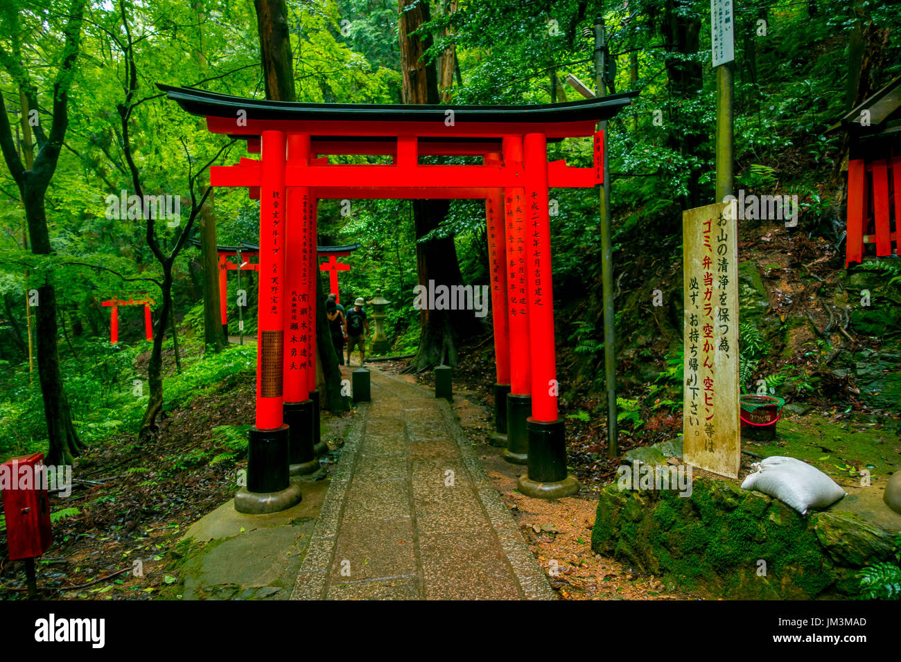 Tori black hi-res stock photography and images - Page 6 - Alamy