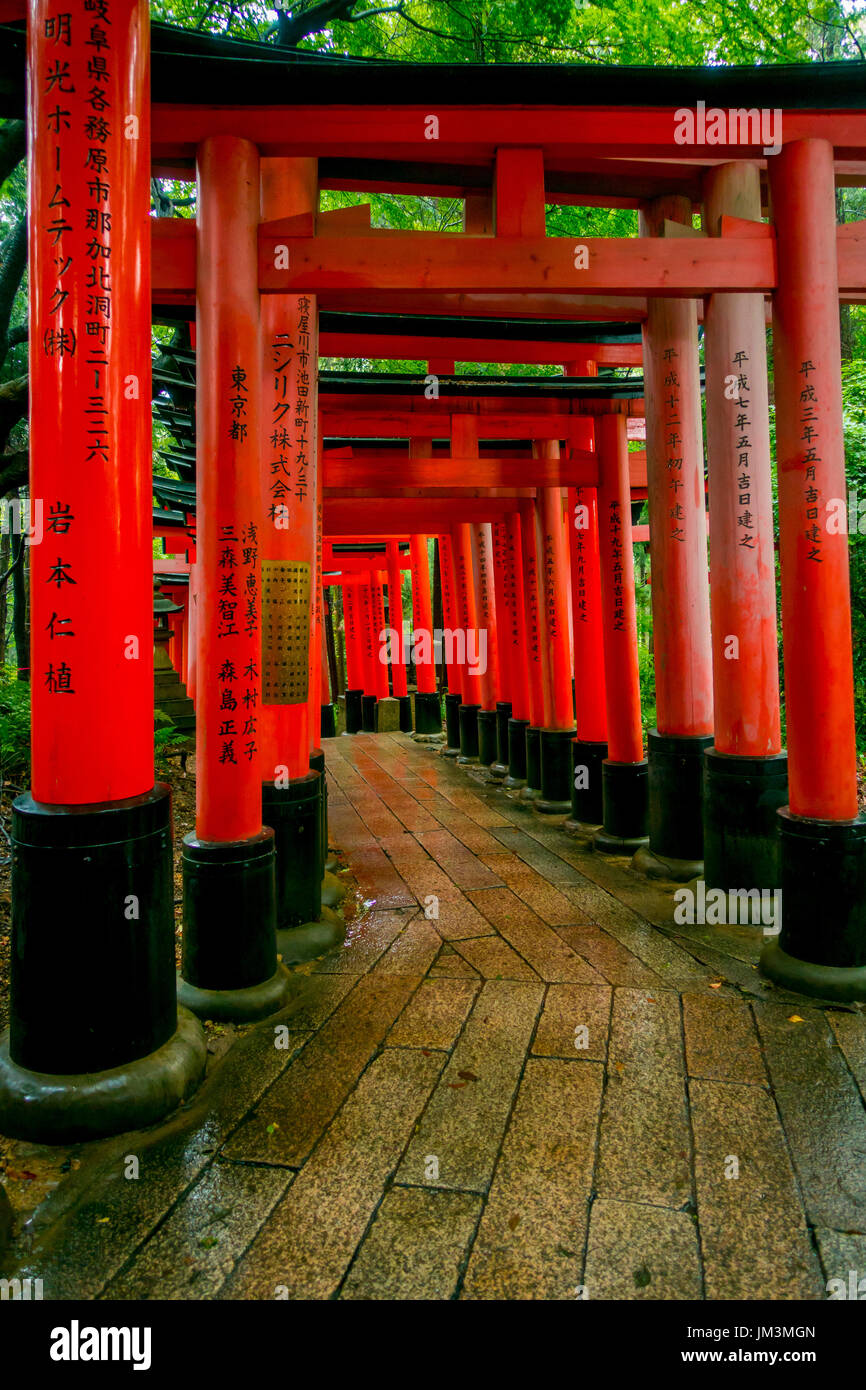KYOTO, JAPAN JULY 05, 2017 Red Tori Gate at Fushimi Inari Shrine in