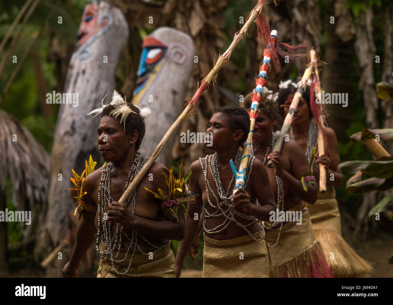 Small Nambas tribeswomen dancing in front of slit gong drums during the ...