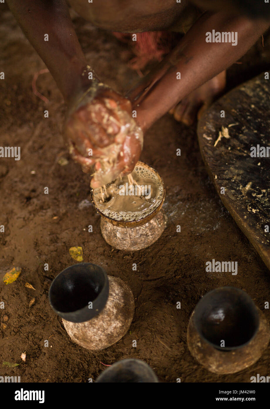 Woman Preparing And Squeezing Kava To Drink At A Traditional Ceremony Sanma Province Espiritu Santo Vanuatu Stock Photo Alamy Woman Preparing And Squeezing Kava To Drink At A Traditional Ceremony Sanma Province Espiritu Santo Vanuatu Stock Photo Alamy