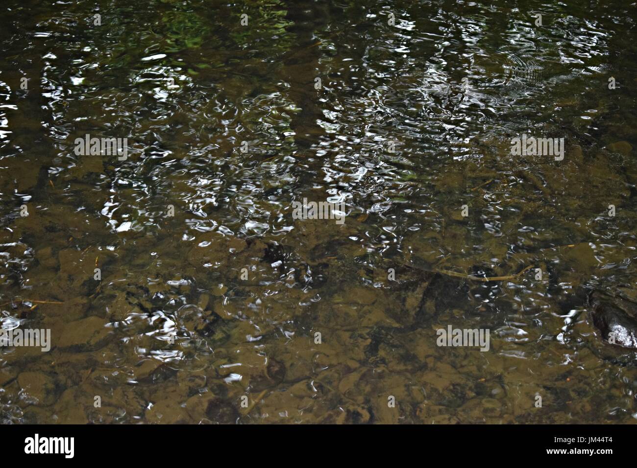Stream summer sun water hi-res stock photography and images - Alamy
