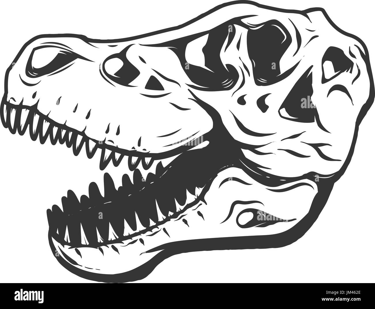 t-rex dinosaur skull isolated on white background. Images for logo, label, emblem. Vector illustration. Stock Vector