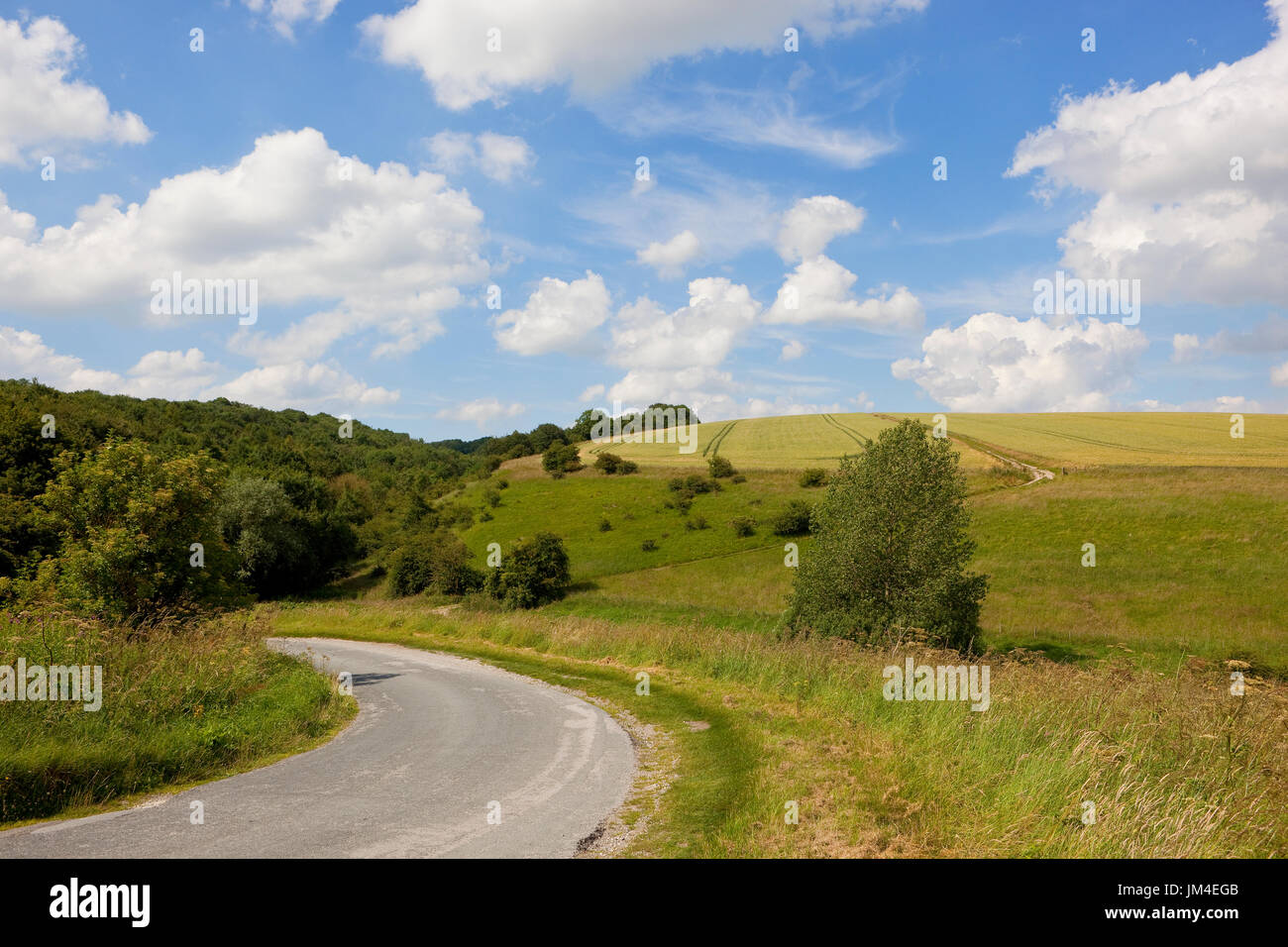 a curving valley road with crops and grazing meadows near woodland under a blue summer sky at Millington pastures in the yorkshire wolds Stock Photo