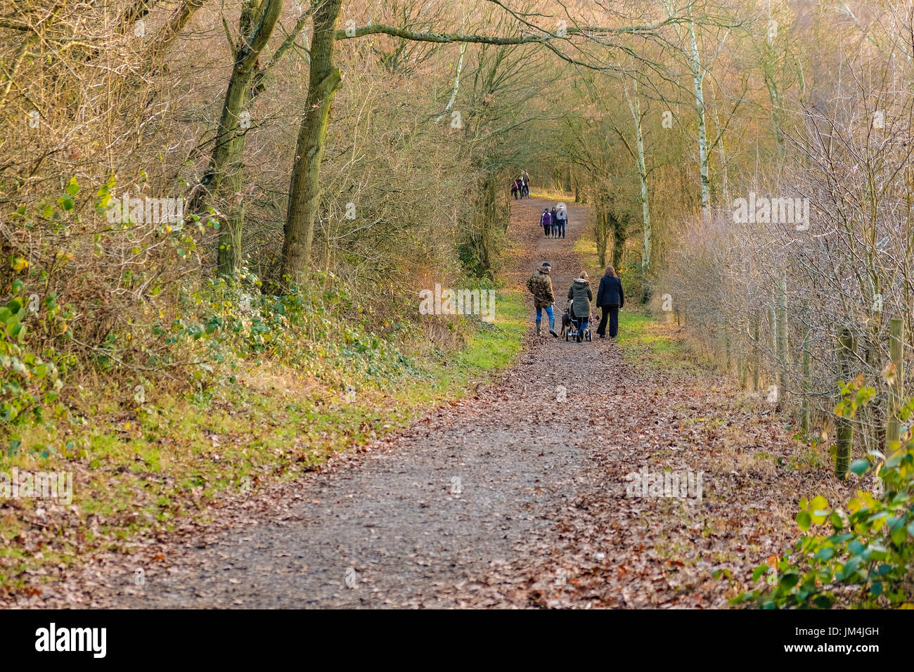 Family having a winter walk in the forest, on a bright sunny day. Stock Photo