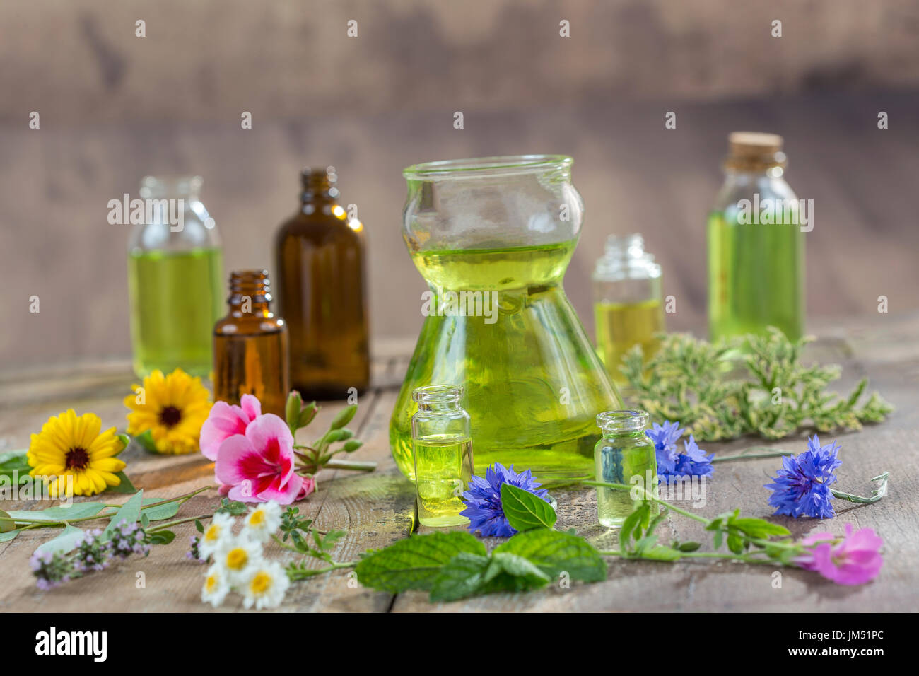 Herbal therapy and aromathrapy concept: alternative treatment with fresh medicinal herbs and flowers on wooden background Stock Photo