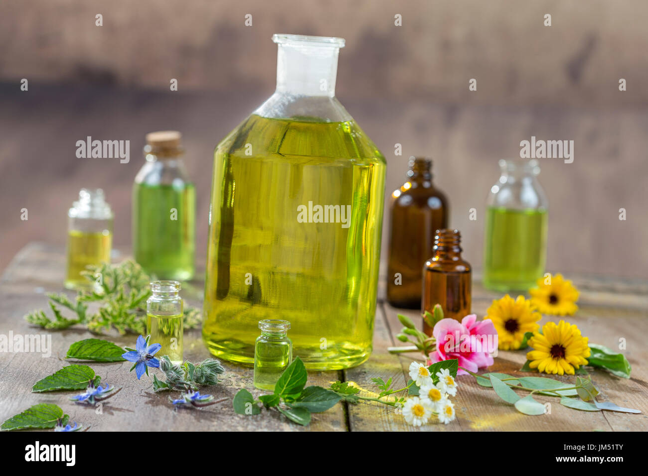 Herbal therapy and aromathrapy concept: alternative treatment with fresh medicinal herbs and flowers on wooden background Stock Photo