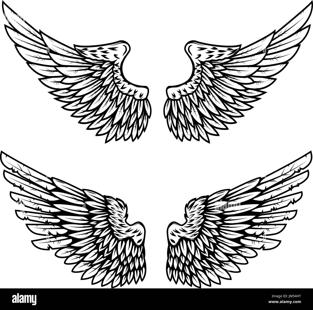 Set of the eagle wings isolated on white background. Design element for logo,  label, emblem, sign. Vector illustration Stock Vector Image & Art - Alamy