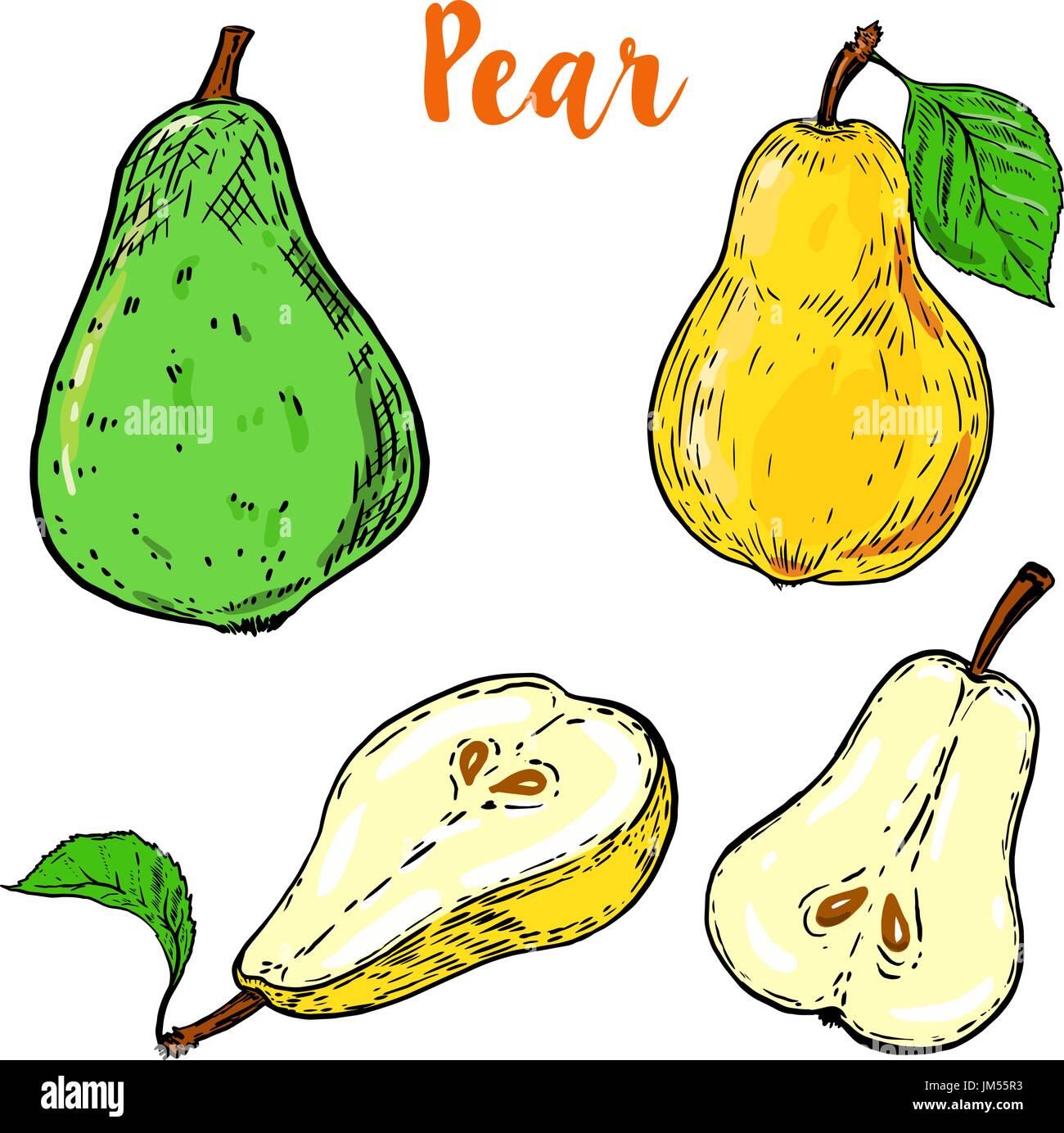 Set of colorful pear illustrations isolated on white background. Vector ...