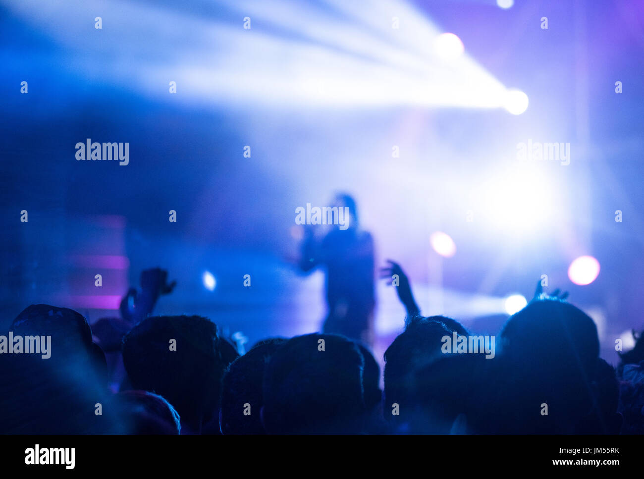 Rear View Of Crowd With Arms Outstretched At Concert. Bright Stage ...