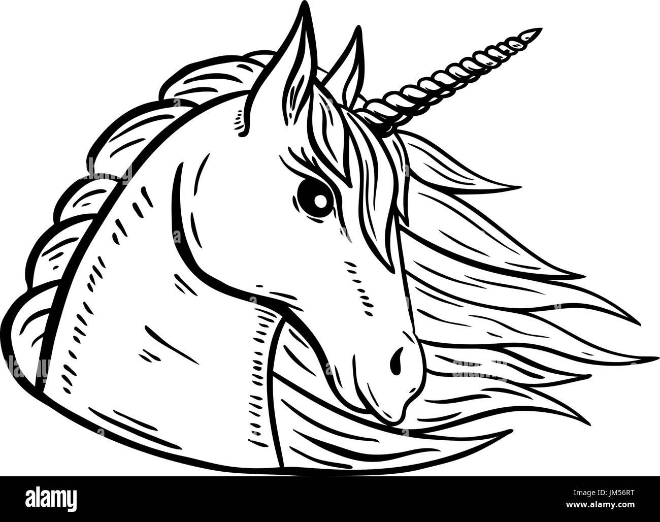 Unicorn head hand drawn illustration isolated on white background Stock