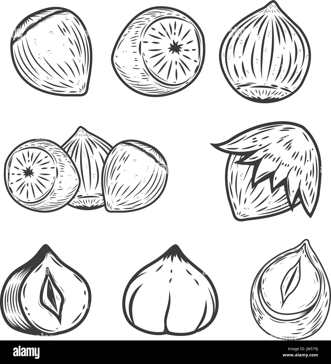 Set of hazelnuts icons isolated on white background. Design elements