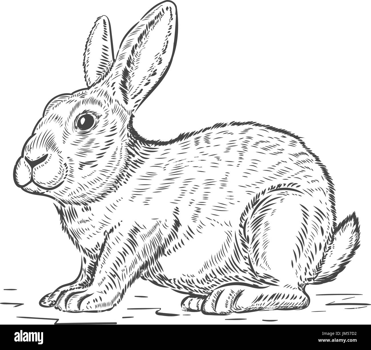 Кролик в норке вектор