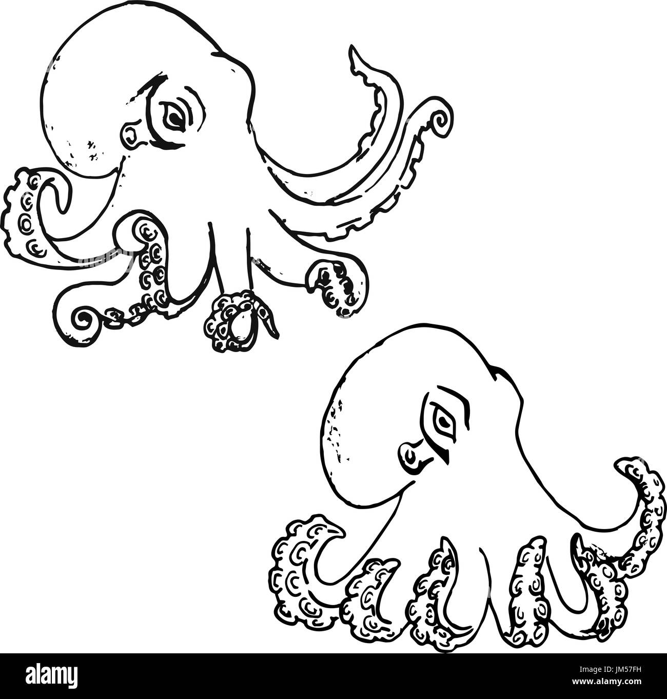 Set of hand drawn octopus isolated on white background. Vector ...