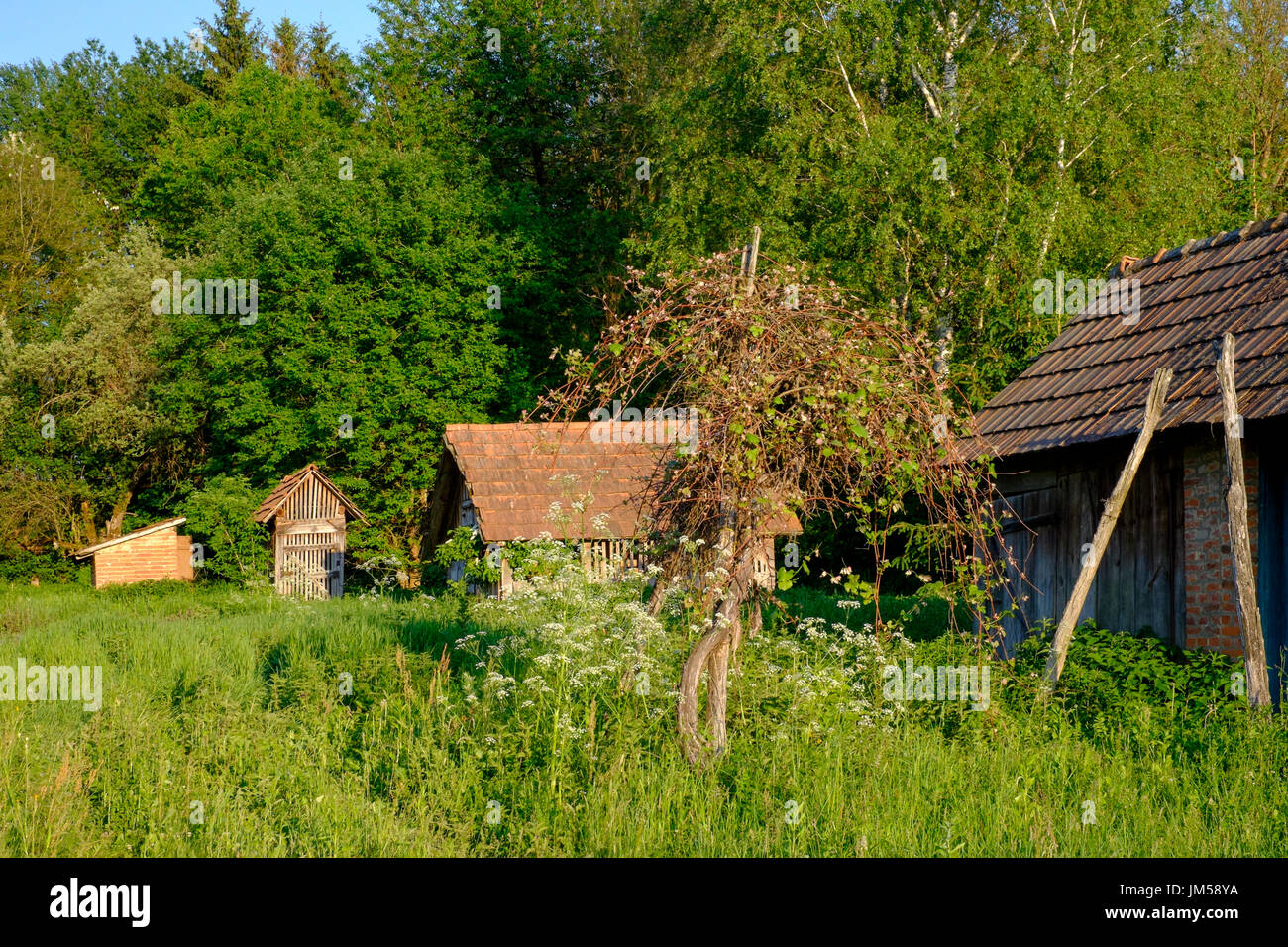 outbuildings in the garden of a typical rural village house in zala county hungary Stock Photo