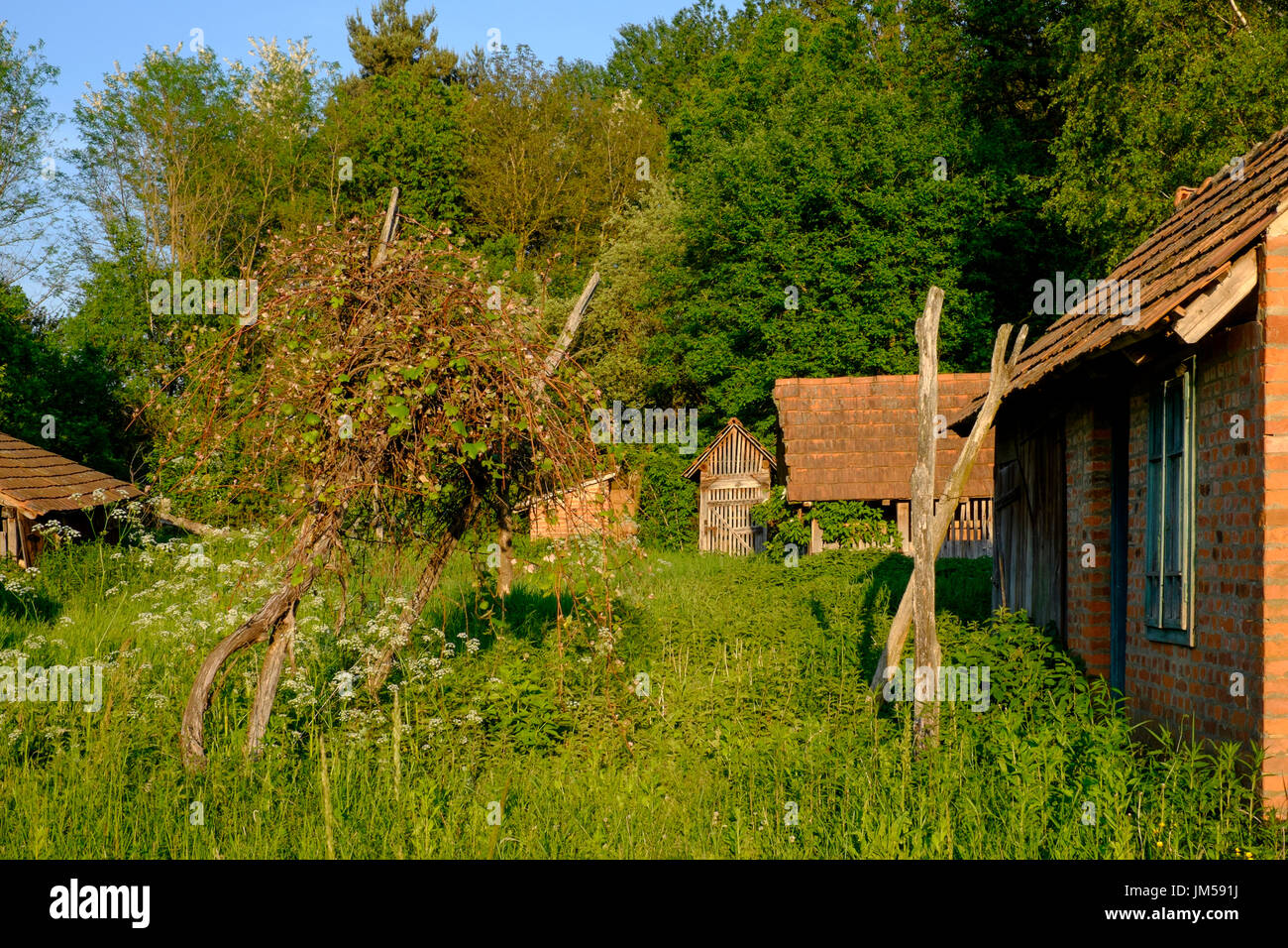 outbuildings in the garden of a typical rural village house in zala county hungary Stock Photo