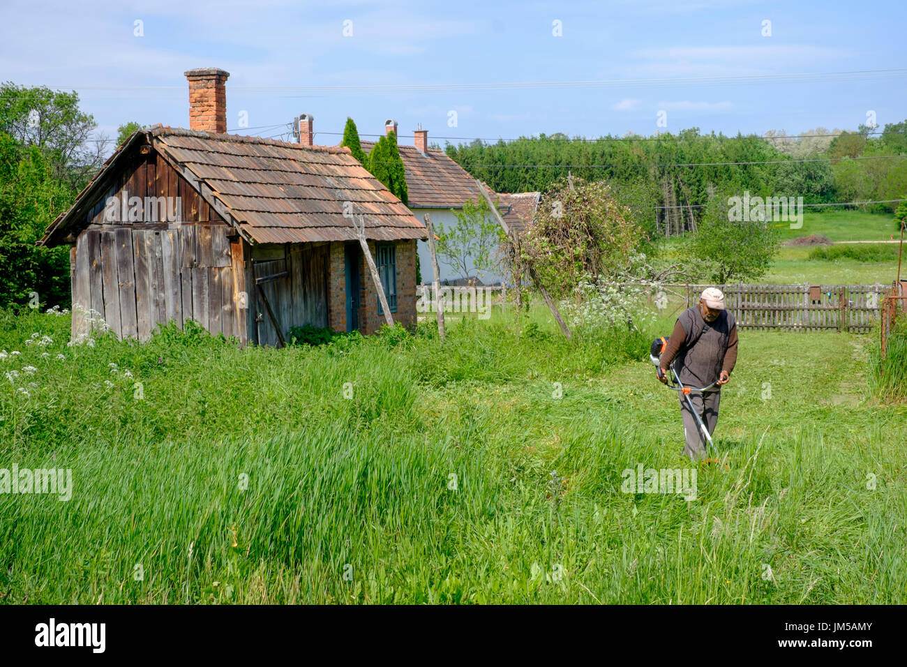 local man using a strimmer to cut long grass in the garden of a rural house in a village in zala county hungary Stock Photo