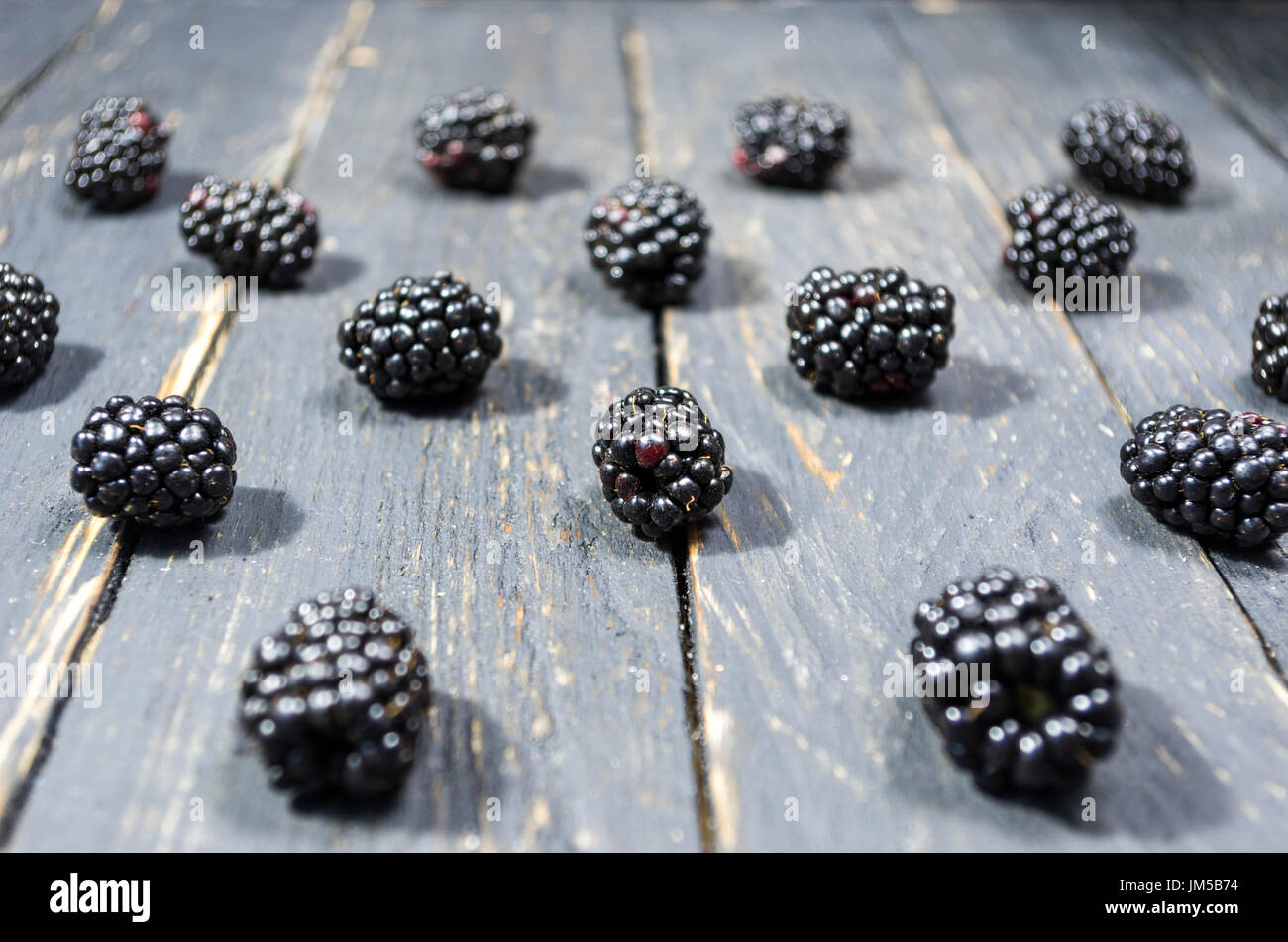 Blackberry berries are arranged in a row. Front view. Composition from berries. Stock Photo